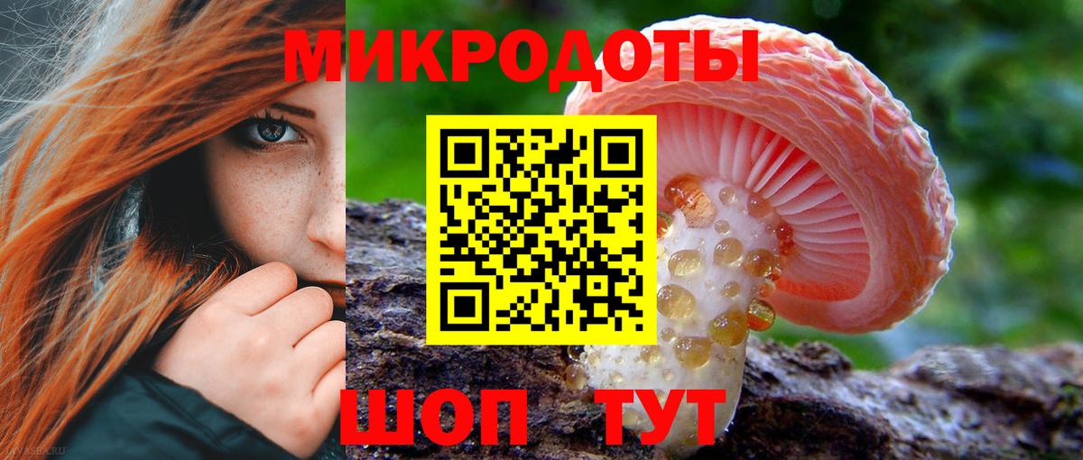 Псилоцибиновые грибы мицелий Люберцы