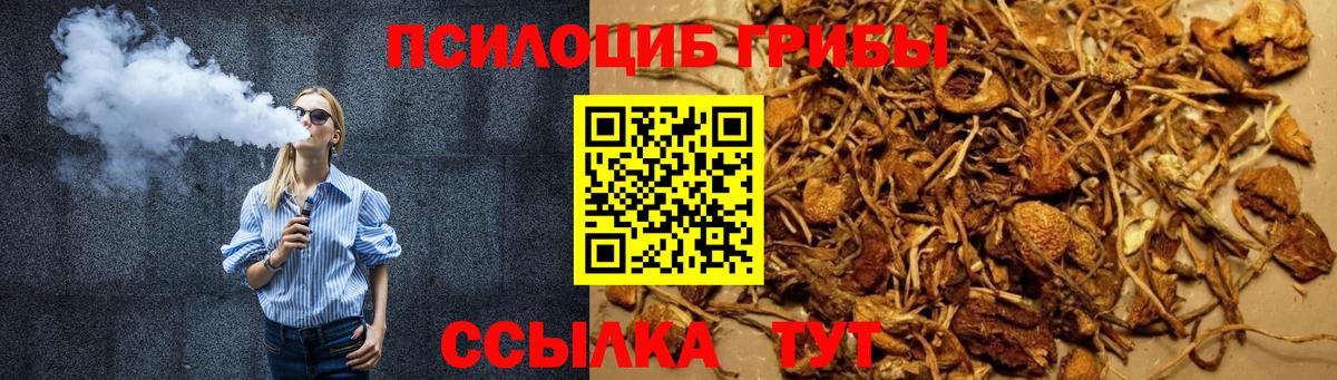 цены наркотик  Вход с VPN  Люберцы  Псилоцибиновые грибы прущие грибы 